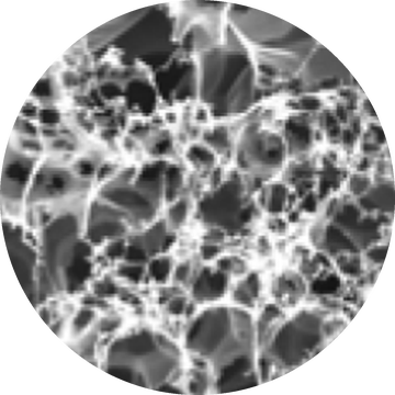 SEM image of laser-induced graphene showing a porous foam