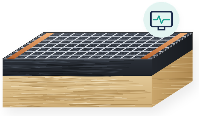 Graphene sensor with a mesh electrode and a live signal readout